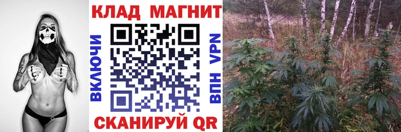 Купить Бошки Шишки КОКАИН Alpha-PVP Меф мяу мяу Гашиш Облучье