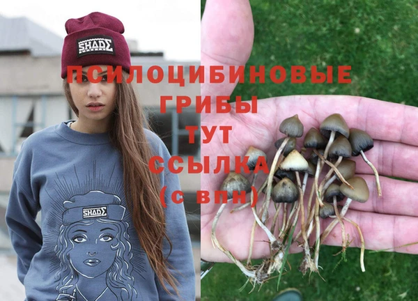 кокаин Медвежьегорск