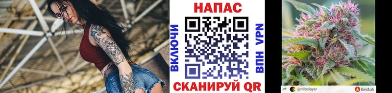 Купить закладки Облучье Канабис конопля